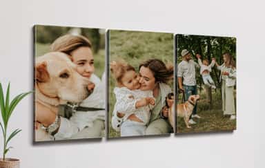 Family themed triptych canvas print